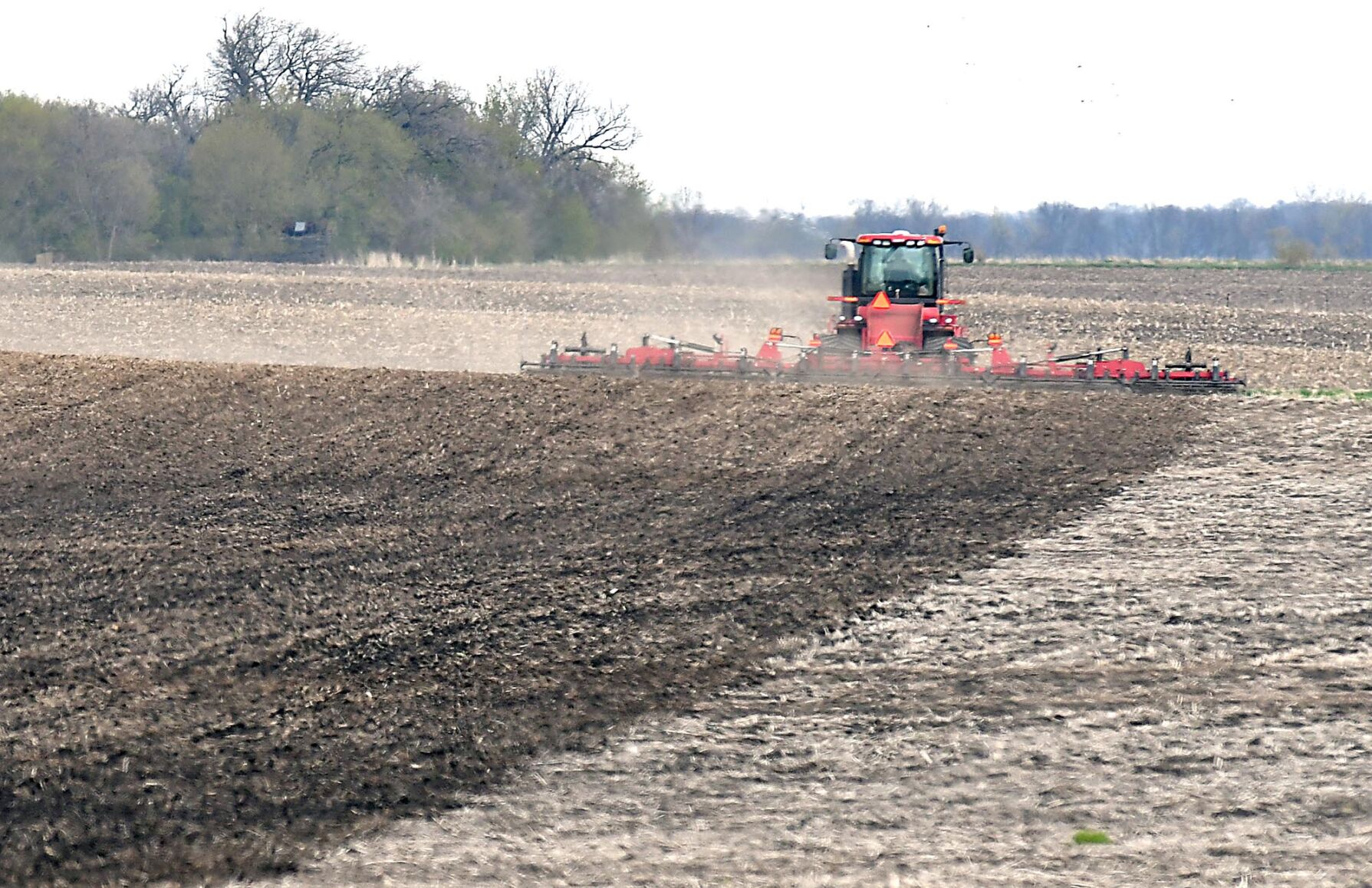 Spring planting 2